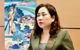 Đại biểu kiến nghị quy định chặt chẽ thủ tục hải quan với hàng hóa qua nền tảng thương mại điện tử