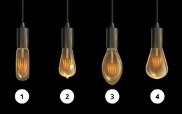 Quiz: Lý do bạn được nhiều người yêu mến?