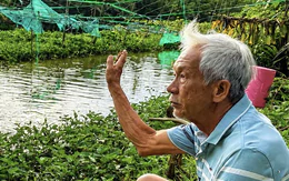 Người đàn ông ngày bán cơm, tối ngủ trên chòi lá canh giữ 'bảo tàng cá thiên nhiên'