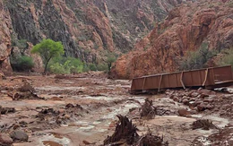 Lũ quét tan hoang Vườn quốc gia Grand Canyon, trực thăng phải vào cứu hàng chục người