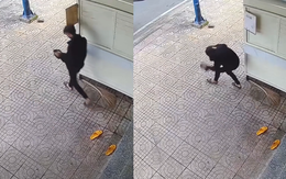 Thanh niên u đầu khi trộm dép