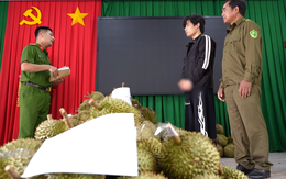Từ Hải Phòng vào Đắk Lắk làm thuê rồi trộm hơn 1,6 tấn sầu riêng