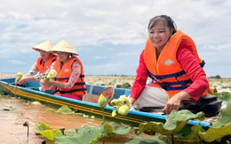 Trải nghiệm du lịch chỉ mùa nước nổi mới có ở Đồng Tháp dịp lễ 2-9