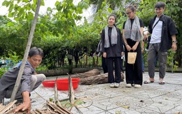 Về Cần Thơ Tết Độc lập: Trải nghiệm sống chậm giữa Cồn Sơn và làm sô cô la miệt vườn