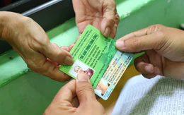 Người nước ngoài, Việt kiều: Ai được cấp thẻ giao thông công cộng TP.HCM?