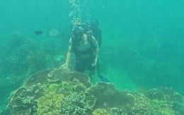 Nghỉ lễ 2-9: Vịnh Nha Trang thu hút khách du lịch với trải nghiệm lặn ngắm san hô, freediving