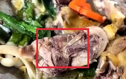 Phạt 27 triệu đồng cơ sở nấu ăn có giòi trong món gà