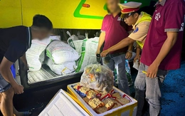 Hơn 800kg cá viên, bò viên không rõ nguồn gốc trong khoang hành lý xe khách