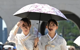 Hàn Quốc: 16 người chết do nắng nóng, Seoul ban bố cảnh báo chưa từng có