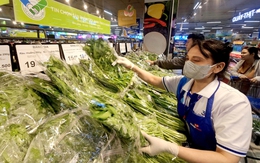 TP.HCM: 8.749 sản phẩm rau, thịt, trứng... đăng ký chương trình kiểm soát chất lượng