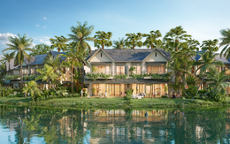 The Palm Island: Khi compound mở ra những tiêu chuẩn mới về chất lượng sống
