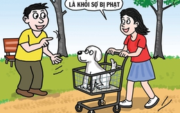 Cách đưa chó đi dạo đỡ 'đau ví' nhất