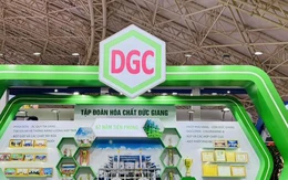 Cổ phiếu Hóa chất Đức Giang bất ngờ tăng trần, nhóm ngân hàng gây sức ép lên VN-Index