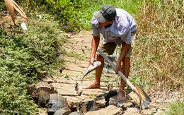 Đa số người dân trong vụ cá chết do nhiễm mặn từ dự án sân bay Cà Mau đã ký nhận tiền hỗ trợ