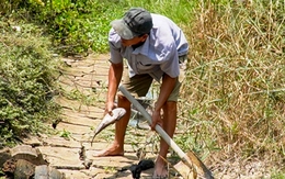 Đa số người dân trong vụ cá chết do nhiễm mặn từ dự án sân bay Cà Mau đã ký nhận tiền hỗ trợ
