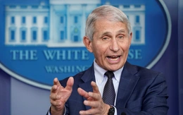 Ủy ban Thượng viện Mỹ kiến nghị truy tố ông Anthony Fauci