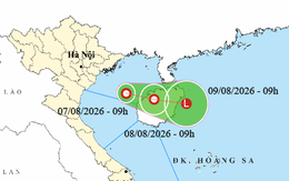 Áp thấp nhiệt đới hình thành ở vịnh Bắc Bộ, bão Dolphin đang quét qua phía nam Nhật Bản