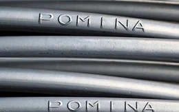 Doanh thu Pomina tăng mạnh nhưng vẫn lỗ tiếp quý thứ 17