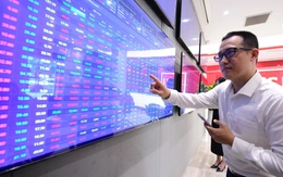 Hơn 8.400 tài khoản chứng khoán được mở mới mỗi ngày