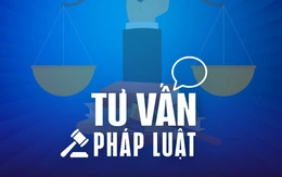 Con chưa có việc làm, có được tính là người phụ thuộc khi cha mẹ nộp thuế không?