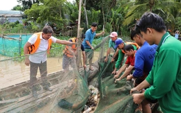 Nông dân Đồng Tháp dỡ chà bắt cá, học chụp ảnh, quay phim quảng bá du lịch