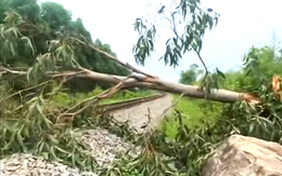 Thanh niên làm clip hướng dẫn xử lý tình huống khi gặp vật cản trên đường sắt gây ‘sốt’ mạng xã hội