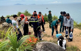 Sóng cuốn 4 du khách xuống biển khi chụp ảnh ở Đà Nẵng: Một cô gái được tàu hải quân cứu sống