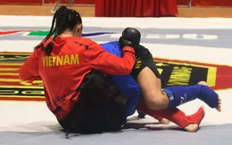 195 võ sĩ trẻ đọ sức tại giải MMA quốc gia ở Đà Nẵng