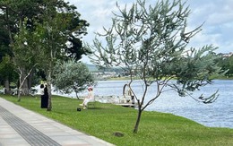 Phát hiện thi thể nữ kế toán ban quản lý dự án của Lâm Đồng ở hồ Xuân Hương