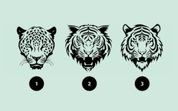 Quiz: Cảm xúc nào đang chi phối bạn?