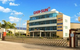 Vụ giấu 1.400 tỉ đồng doanh thu: Cadisun lớn cỡ nào?