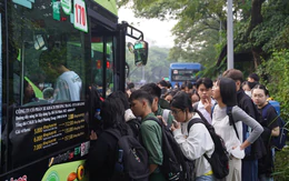 Luật phát triển đô thị