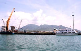 Dân bị ‘ngâm’ hồ sơ chuyển đất ở, phường trả lời do không có file quy hoạch của tỉnh để kiểm tra