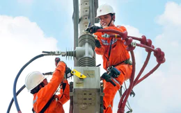 6 tháng đầu năm EVN lãi sau thuế 8.631 tỉ, gửi ngân hàng 121.835 tỉ đồng