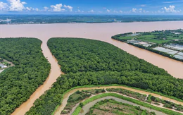 Miền Tây, vùng đất chín rồng nay còn 'mấy rồng'?