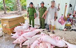 Phát hiện giết mổ heo ‘lậu’ tại nhà, nhiều con có mùi hôi
