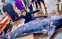 Ngư dân vùng Phú Yên bắt được cá cờ ‘khủng’ nặng gần 320kg
