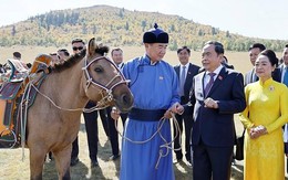 'Ngoại giao tuấn mã': Món quà đặc biệt của Mông Cổ dành cho Việt Nam