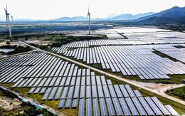 Khánh Hòa đấu thầu 7 khu đất thực hiện các dự án điện gió, điện mặt trời