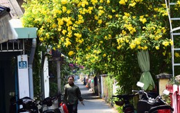 Luật phát triển đô thị