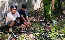 Bắt tạm giam 2 thanh niên cắt trộm dây điện trên cao tốc, lấy đồng bán phế liệu