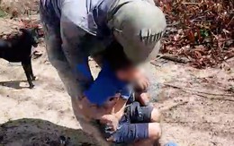 Video tìm thấy bé trai đi lạc trên núi cao, xúc động cảnh chú chó luôn theo bảo vệ chủ   