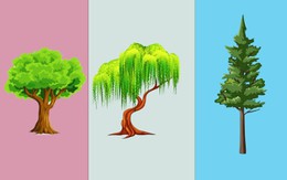 Quiz: Khả năng vượt qua khó khăn của bạn như thế nào?
