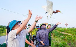 Phá ‘ma trận’ bẫy bắt chim trời, bảo vệ đàn chim mùa di cư