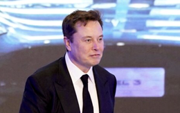 Tesla thấy cơ hội gì ở thị trường Việt Nam?