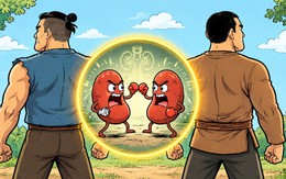 Thành ngữ quen thuộc này là gì? (P117)