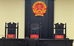 Vụ cha 86 tuổi kiện con trai đòi lại đất: 'Cái mất lớn nhất là tình cảm cha con, ông cháu, anh em'