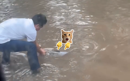 Người đàn ông bất ngờ bắt được cá lớn trên đường đi làm
