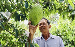 Tránh đưa thông tin hoang mang về tình hình hạn, mặn trong mùa khô 2026-2027