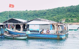 Cuộc thi Lan tỏa năng lượng tích cực 2026: Độc đáo chuyện ‘tắm’ cá